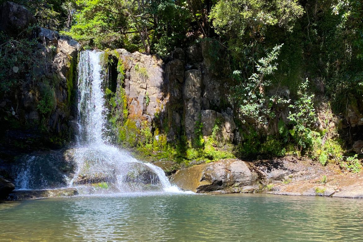 waiau-falls-Coromandel Peninsula NZ