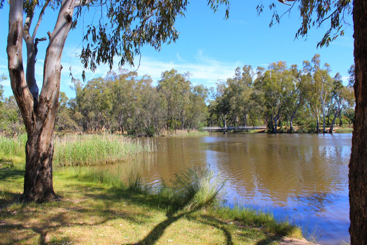 Lake Benalla