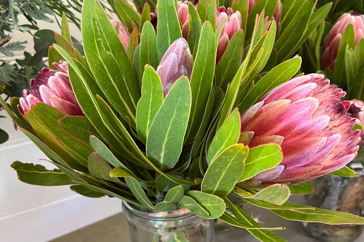 Glenlyon Market flowers